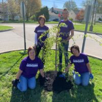 Earth Day Weeping Willow Tree Donation