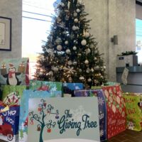 Iroquois Elementary - The Giving Tree